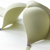 Glatter Push-up-BH-Bombardina.de
