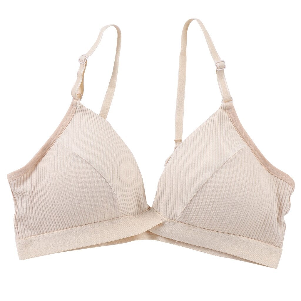 BH push-up-Bombardina.de
