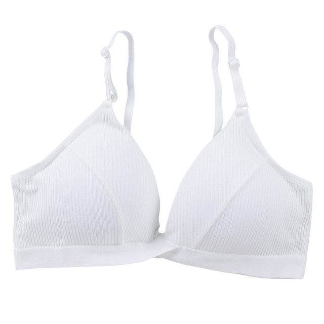 BH push-up-Bombardina.de