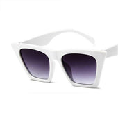 Katzenaugen-Sonnenbrille-Bombardina.de